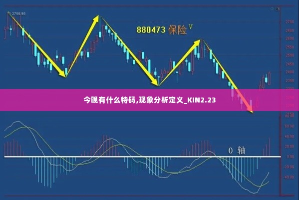 今晚有什么特码,现象分析定义_KIN2.23