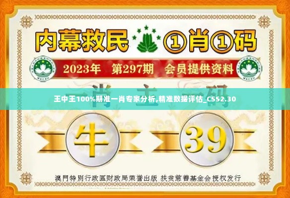 王中王100%期准一肖专家分析,精准数据评估_CSS2.30