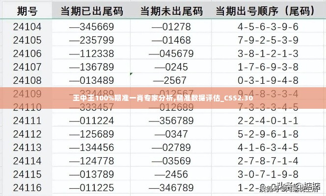 王中王100%期准一肖专家分析,精准数据评估_CSS2.30