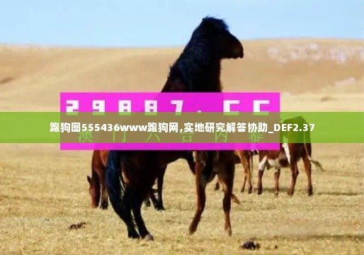 跑狗图555436www跑狗网,实地研究解答协助_DEF2.37