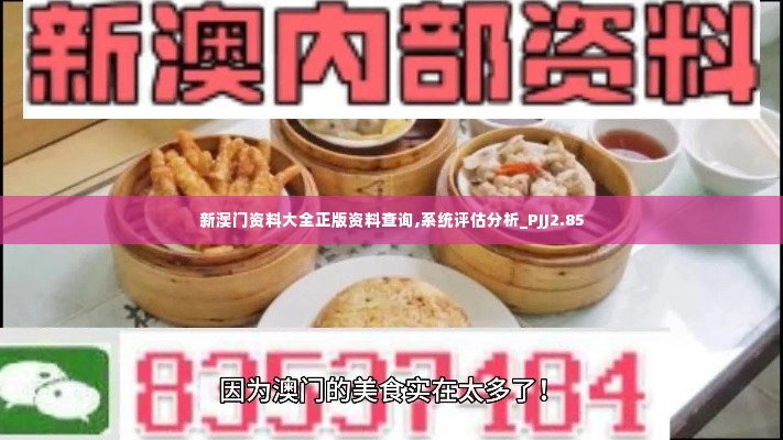 新澳门资料大全正版资料查询,系统评估分析_PJJ2.85