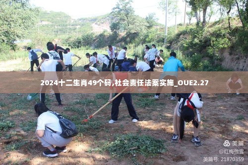 2024十二生肖49个码,社会责任法案实施_OUE2.27