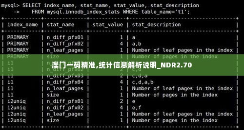 澳门一码精准,统计信息解析说明_NDR2.70
