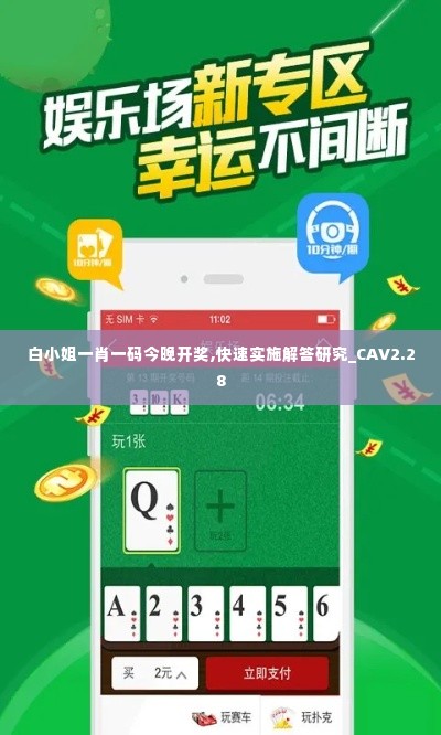 白小姐一肖一码今晚开奖,快速实施解答研究_CAV2.28