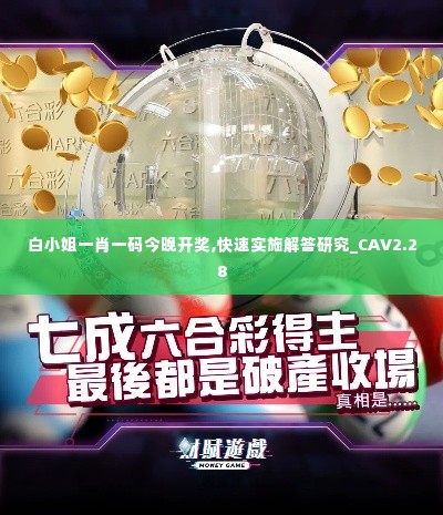 白小姐一肖一码今晚开奖,快速实施解答研究_CAV2.28