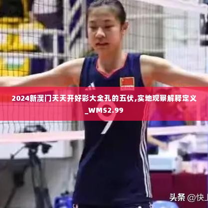 2024新澳门天天开好彩大全孔的五伏,实地观察解释定义_WMS2.99