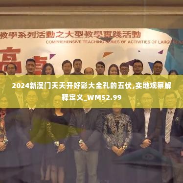 2024新澳门天天开好彩大全孔的五伏,实地观察解释定义_WMS2.99