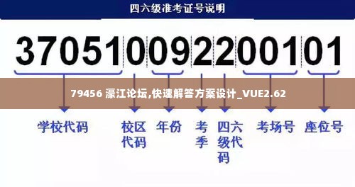 79456 濠江论坛,快速解答方案设计_VUE2.62