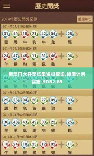 新澳门六开奖结果资料查询,稳固计划实施_SDB2.89