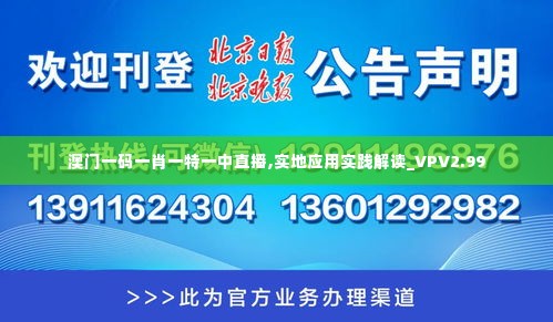 澳门一码一肖一特一中直播,实地应用实践解读_VPV2.99