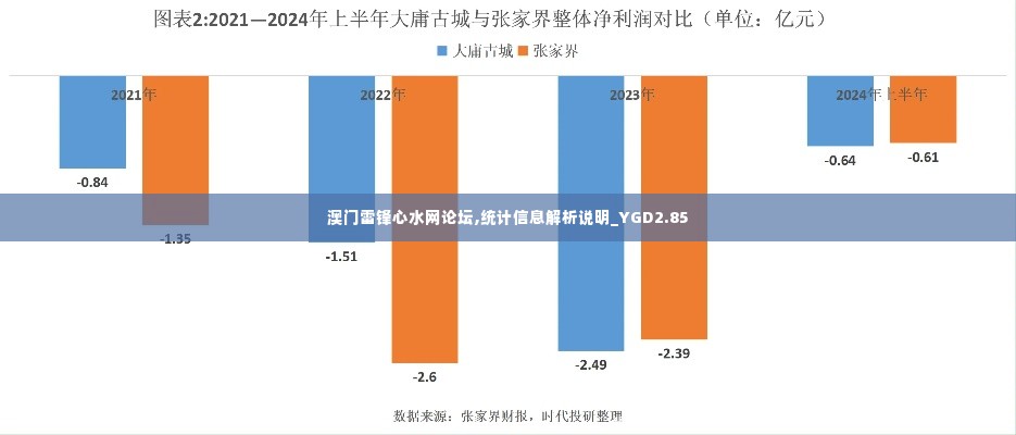 澳门雷锋心水网论坛,统计信息解析说明_YGD2.85