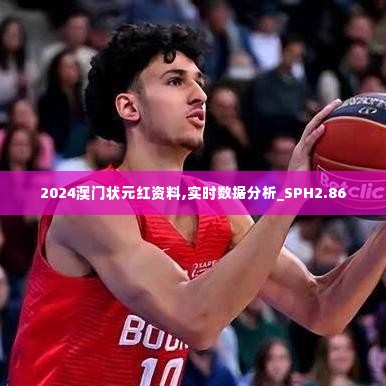 2024澳门状元红资料,实时数据分析_SPH2.86