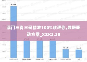澳门三肖三码精准100%欢迎你,数据驱动方案_XZK2.28