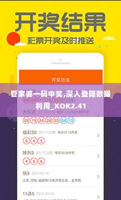管家婆一码中奖,深入登降数据利用_XOK2.41