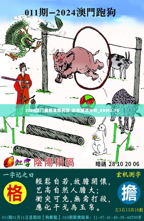 2024澳门最精准跑狗图,动态解读分析_RXM2.70