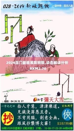 2024澳门最精准跑狗图,动态解读分析_RXM2.70