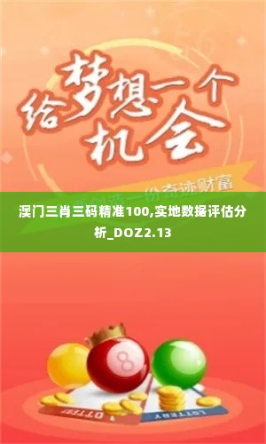 澳门三肖三码精准100,实地数据评估分析_DOZ2.13