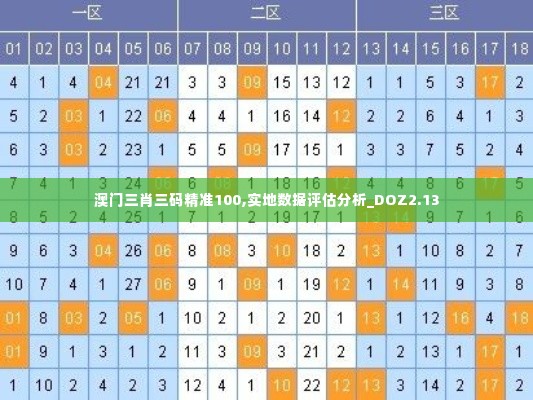 澳门三肖三码精准100,实地数据评估分析_DOZ2.13