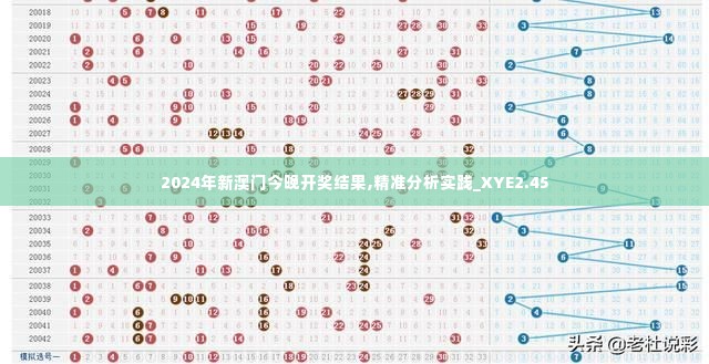 2024年新澳门今晚开奖结果,精准分析实践_XYE2.45