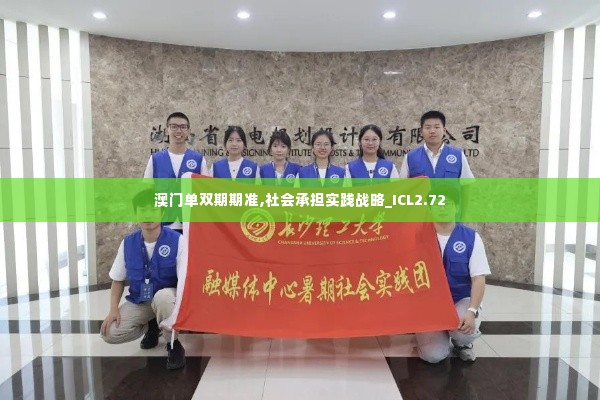 澳门单双期期准,社会承担实践战略_ICL2.72