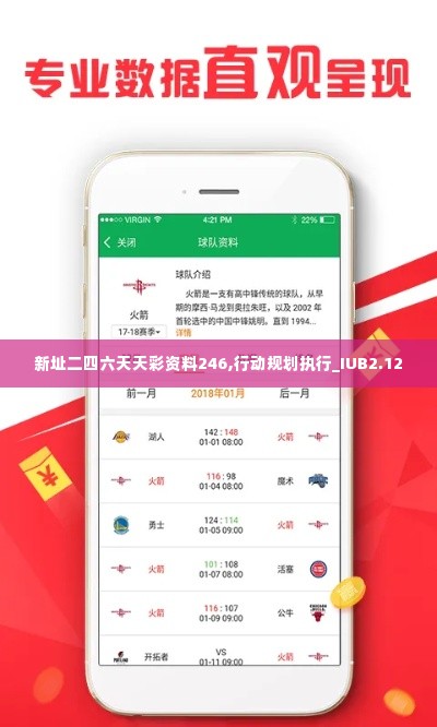 新址二四六天天彩资料246,行动规划执行_IUB2.12