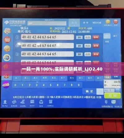 一码一肖100%,实际调研解析_LJO2.40