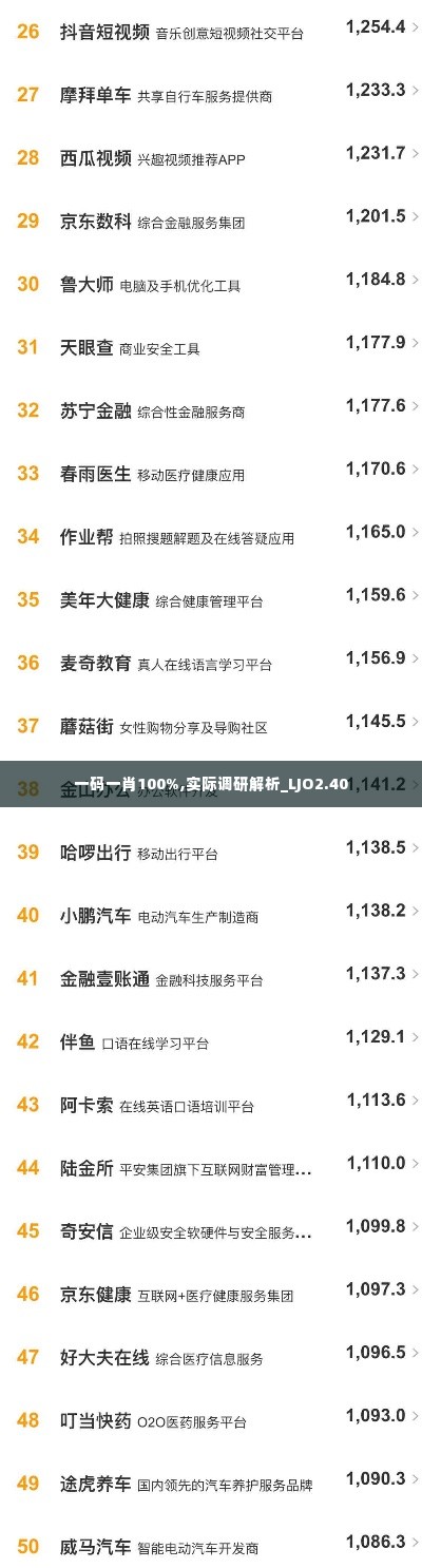 一码一肖100%,实际调研解析_LJO2.40