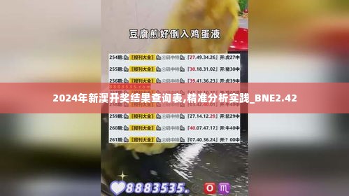 2024年新澳开奖结果查询表,精准分析实践_BNE2.42
