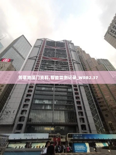 芳草地澳门资料,智能监测记录_WRB2.37