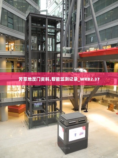 芳草地澳门资料,智能监测记录_WRB2.37