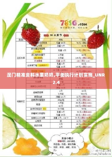 澳门精准资料水果奶奶,平衡执行计划实施_UNR2.4