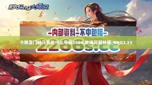 今晚澳门特马开的什么号码2024,快速问题处理_NRO2.53