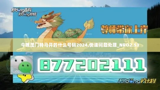 今晚澳门特马开的什么号码2024,快速问题处理_NRO2.53