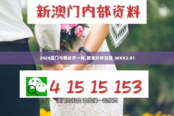 2024澳门今晚必开一肖,精准分析实践_WXX2.81