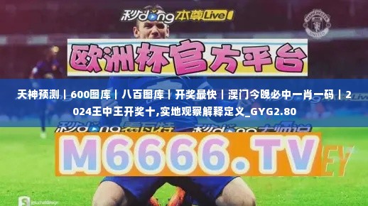 天神预测|600图库|八百图库|开奖最快|澳门今晚必中一肖一码|2024王中王开奖十,实地观察解释定义_GYG2.80