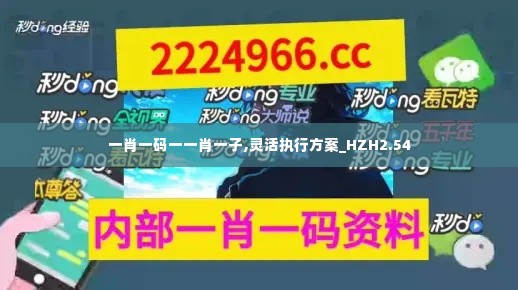 一肖一码一一肖一子,灵活执行方案_HZH2.54