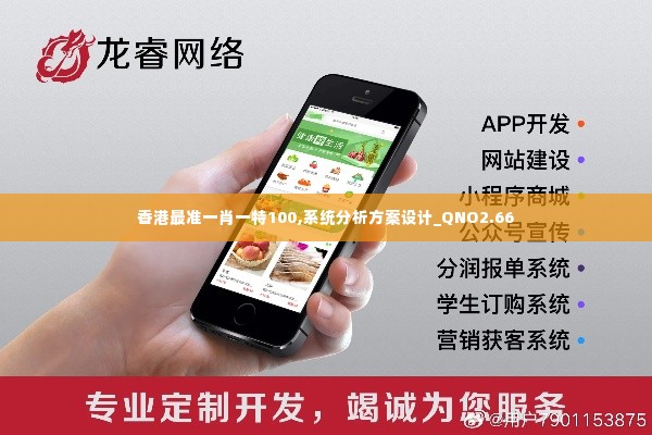 香港最准一肖一特100,系统分析方案设计_QNO2.66