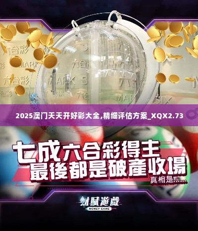 2025澳门天天开好彩大全,精细评估方案_XQX2.73