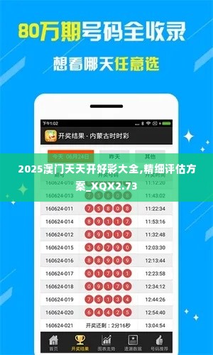 2025澳门天天开好彩大全,精细评估方案_XQX2.73