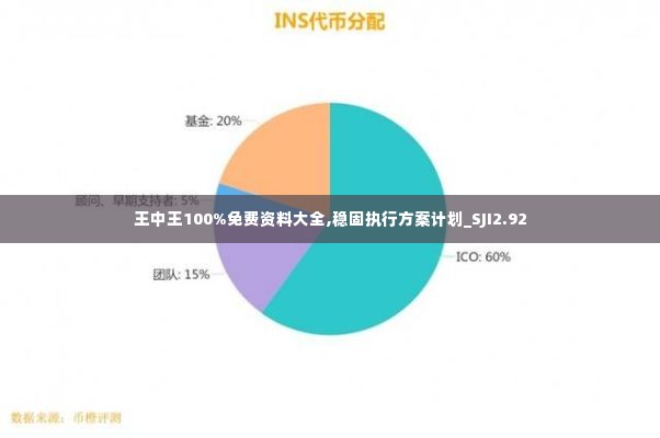 王中王100%免费资料大全,稳固执行方案计划_SJI2.92