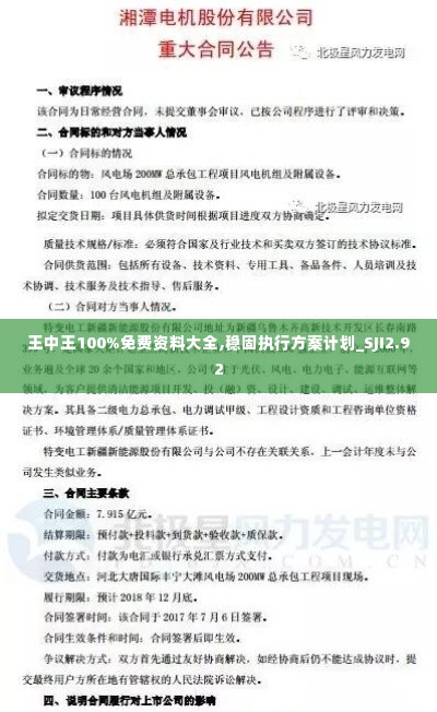 王中王100%免费资料大全,稳固执行方案计划_SJI2.92