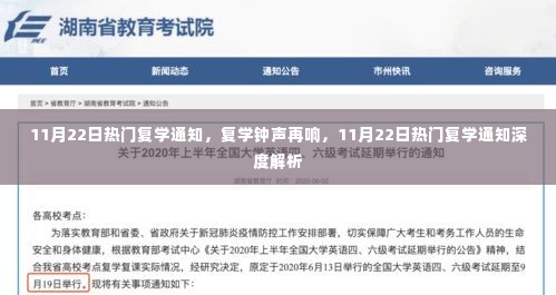 深度解析,热门复学通知再响钟声,11月22日最新复学动态