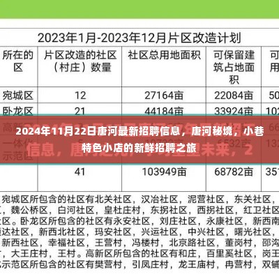 唐河秘境,最新招聘信息与小巷特色小店的招聘之旅(2024年11月22日)