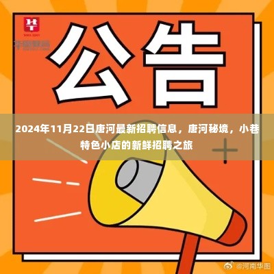 唐河秘境,最新招聘信息与小巷特色小店的招聘之旅(2024年11月22日)