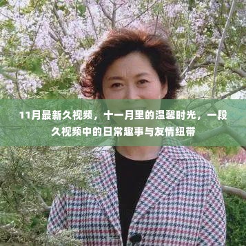十一月温馨时光,久视频中的日常趣事与友情纽带