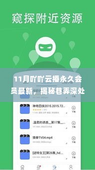 揭秘巷弄深处的魅力小店,11月吖吖云播新宠特色店铺永久魅力展示
