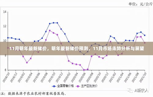 明年最新猪价预测与11月市场走势分析与展望