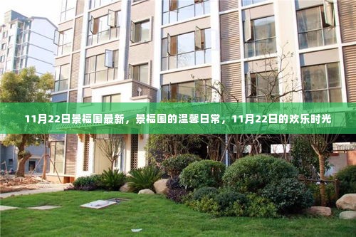 景福围温馨日常,11月22日的欢乐时光记录