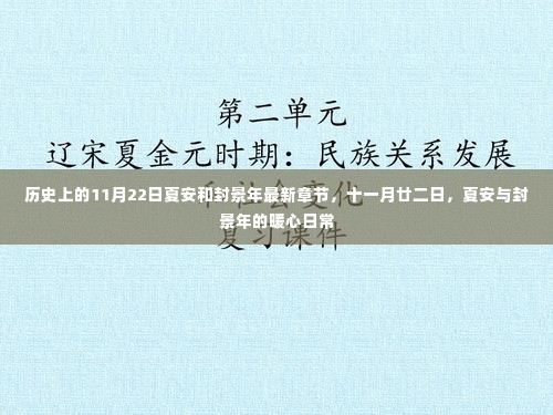 历史上的暖心相遇,夏安与封景年的暖心日常最新章节回顾