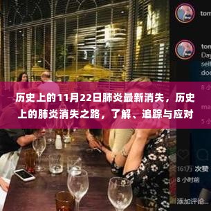 历史上的肺炎消失之路,全面追踪与应对指南(初学者与进阶用户适用)
